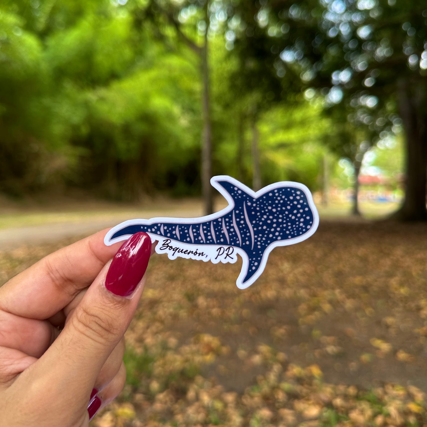 Tiburón Ballena Boquerón 🦈🌊