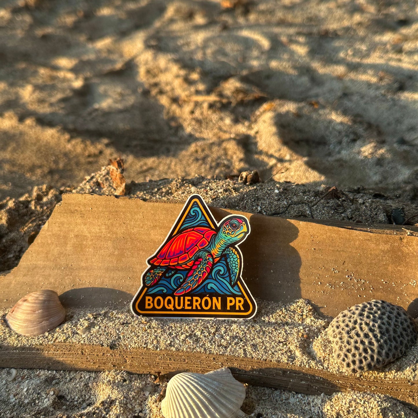 Tortuga Boquerón 🐢🐚