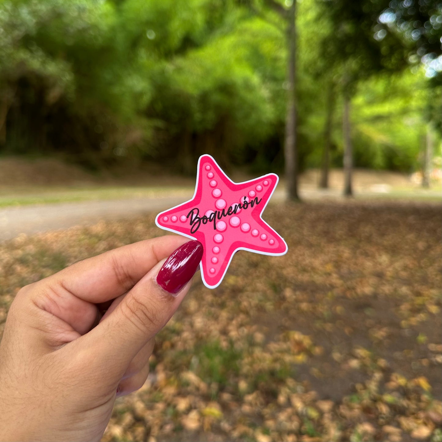 Estrella de Mar | Boquerón ⭐️🐚